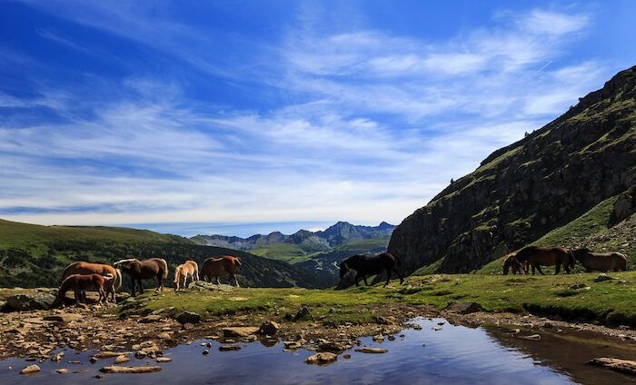 La OCDE premia los esfuerzos de Andorra y la incluye en la lista de los países más transparentes